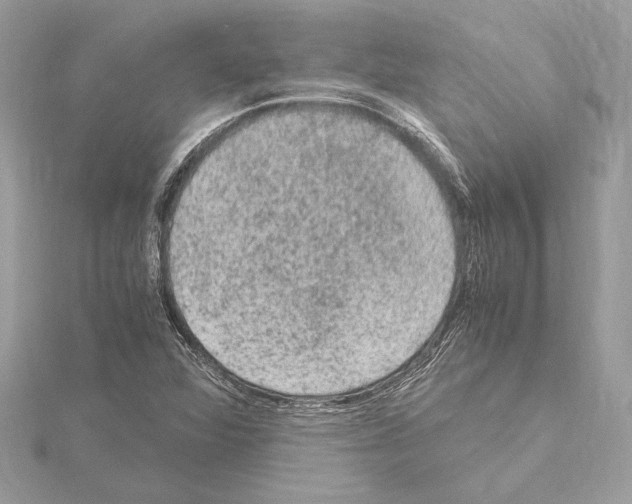 X0000115061360200912071142