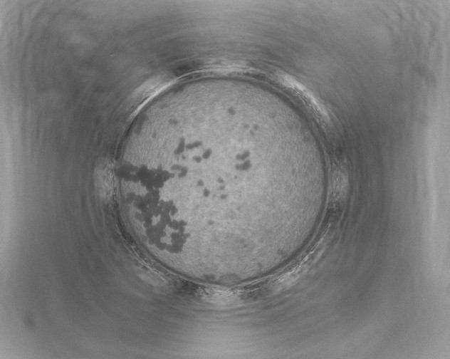 X0000115061361200912071142