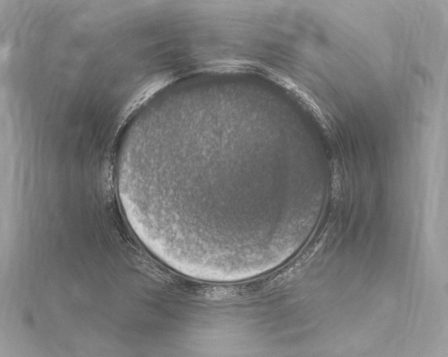 X0000115061362200912071142