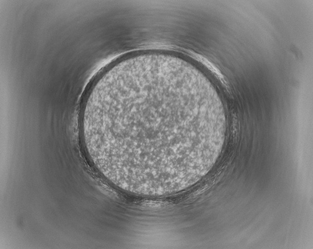 X0000115061364200912071142