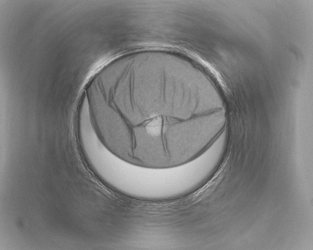 X0000115061365200912071142