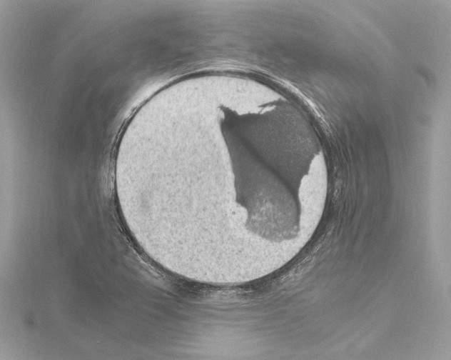 X0000115061367200912071142