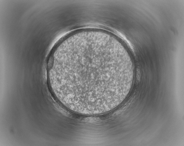 X0000115061368200912071142