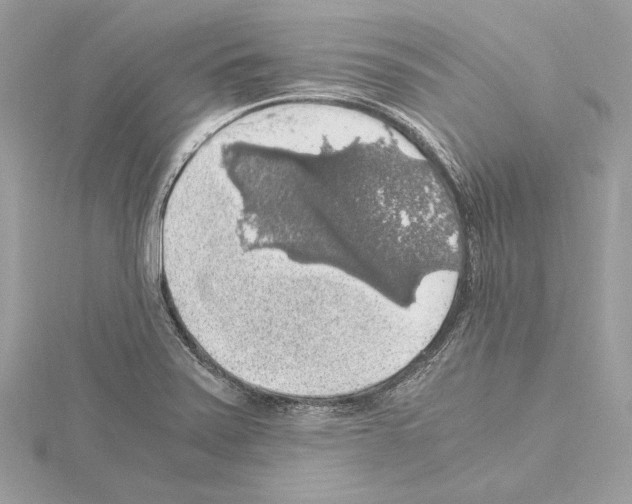 X0000115061371200912071142