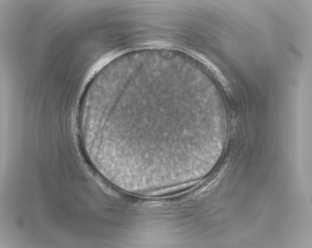 X0000115061373200912071142