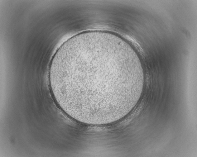 X0000115061374200912071142