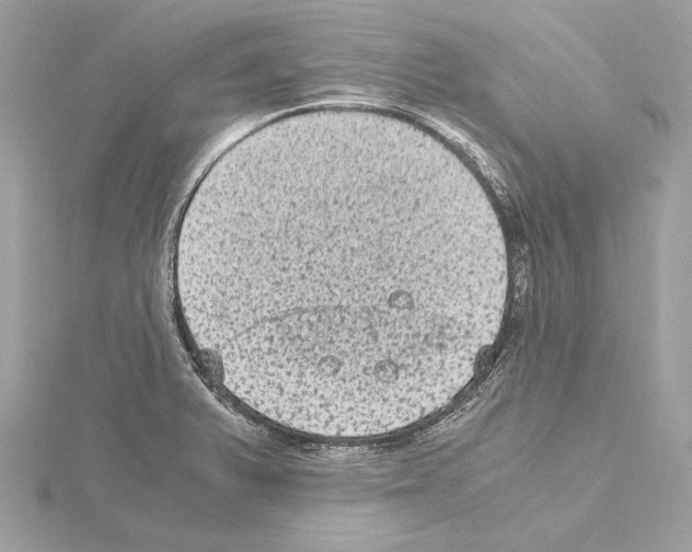 X0000115061375200912071142