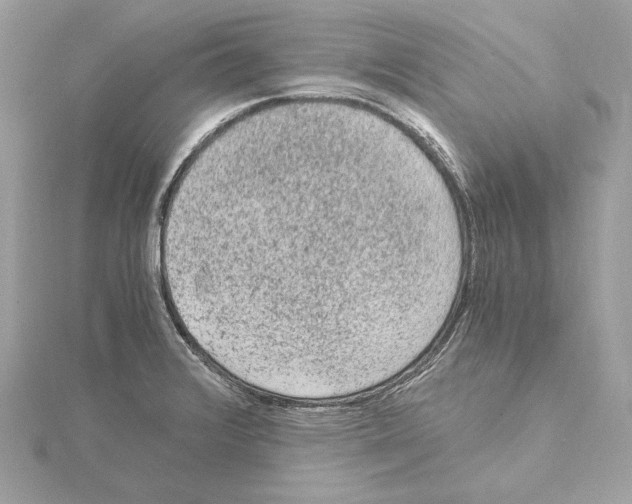 X0000115061376200912071142