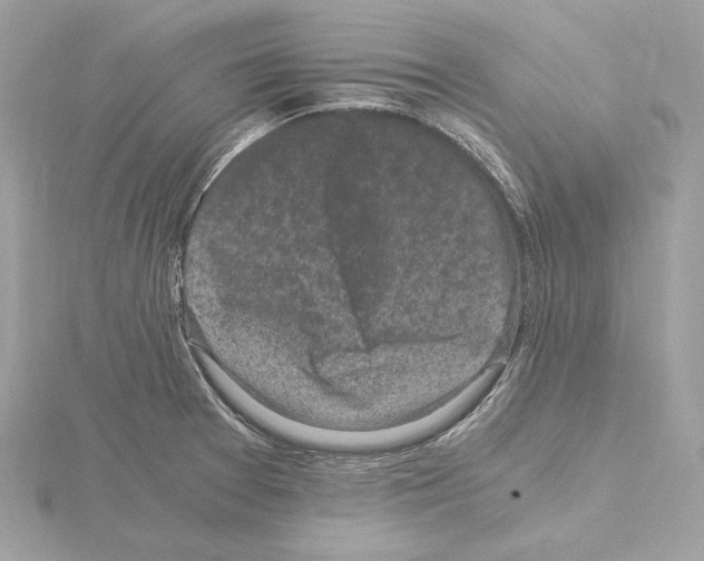 X0000115061377200912071142