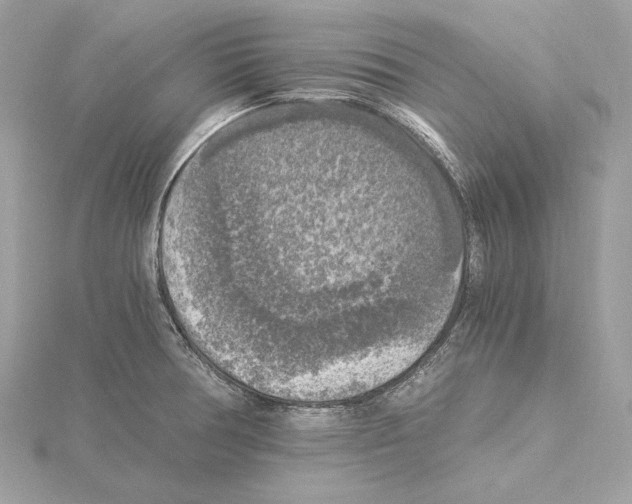 X0000115061378200912071142