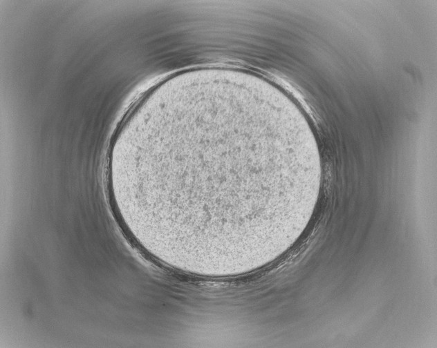 X0000115061379200912071142