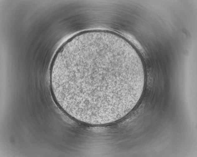 X0000115061380200912071142