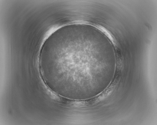 X0000115061381200912071142