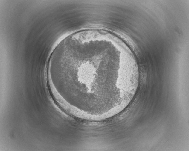 X0000115061382200912071142