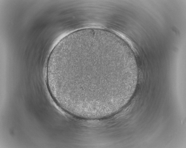 X0000115061383200912071142