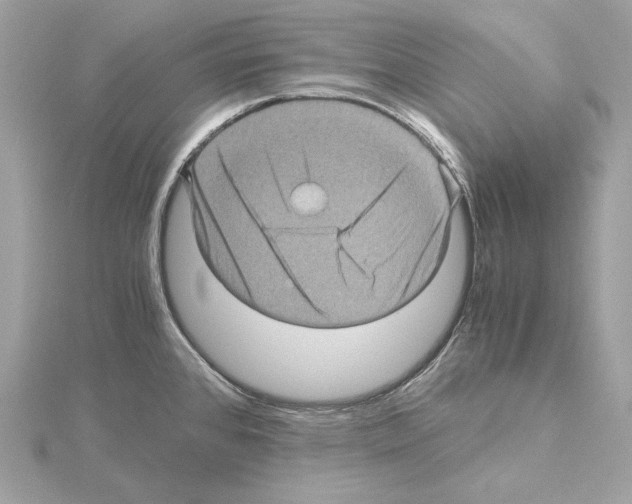 X0000115061384200912071142