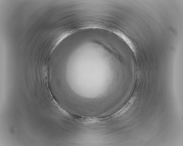 X0000115061385200912071142