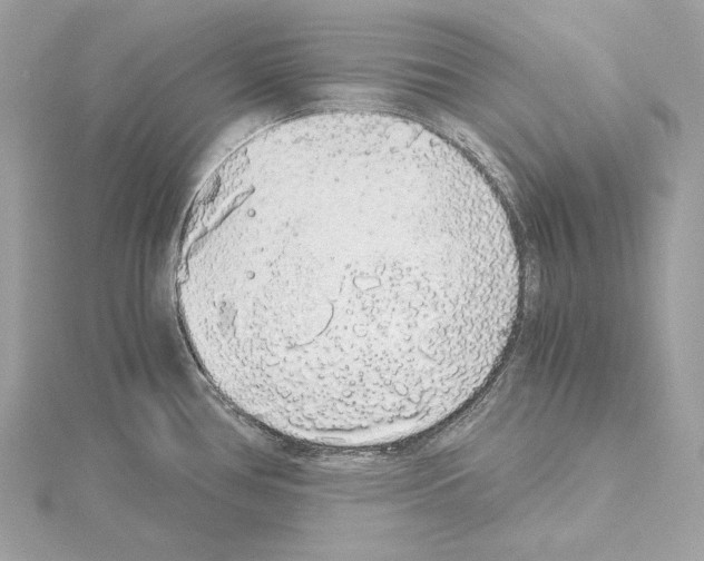 X0000115061386200912071142