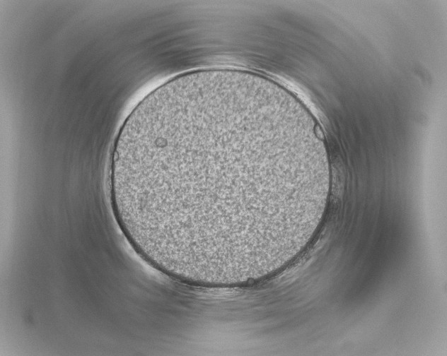 X0000115061387200912071142