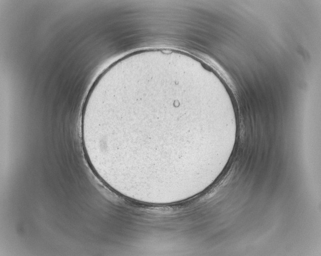 X0000115061388200912071142