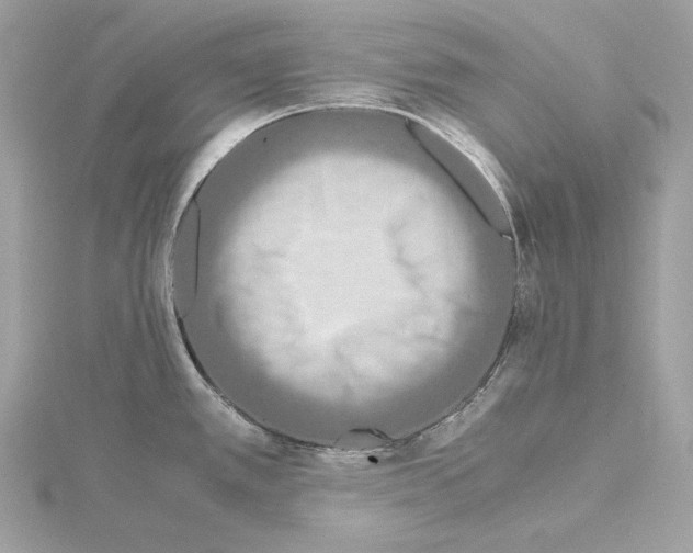 X0000115061389200912071142