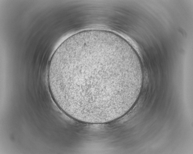 X0000115061390200912071142