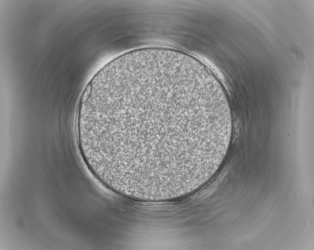 X0000115061391200912071142