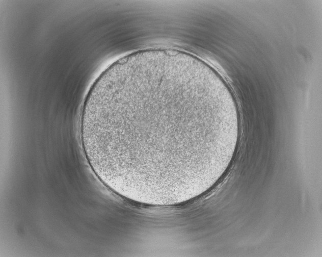 X0000115061392200912071142