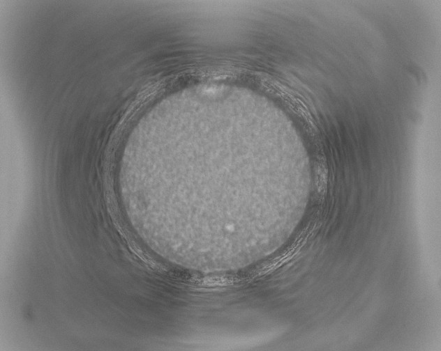 X0000115061393200912071141