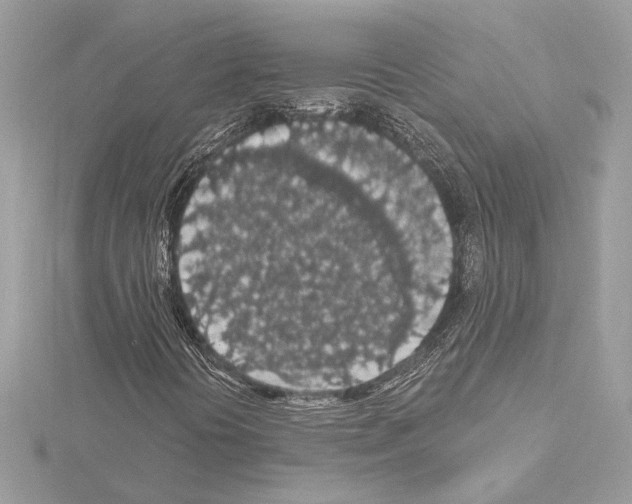 X0000115061394200912071141