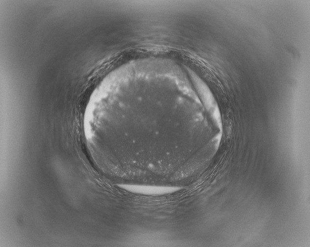 X0000115061397200912071141