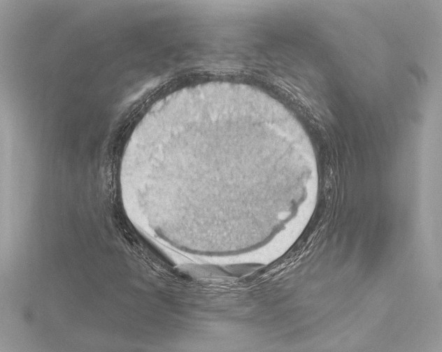 X0000115061398200912071142