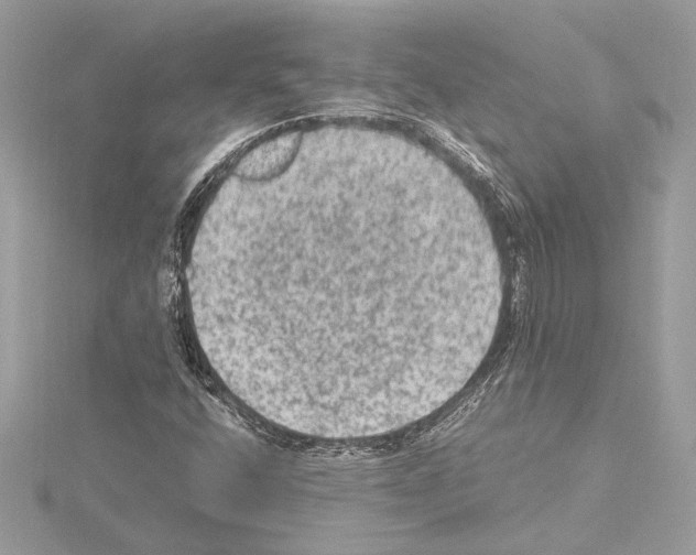 X0000115061400200912071142