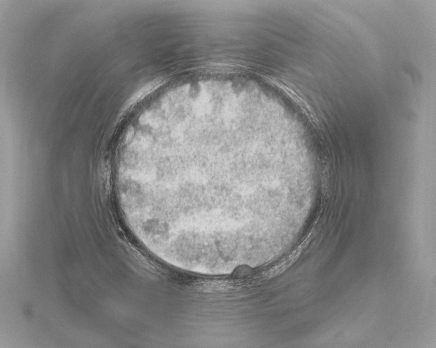 X0000115061402200912071142