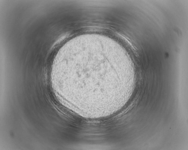 X0000115061403200912071142