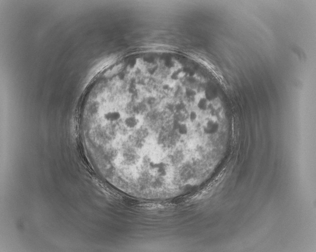 X0000115061405200912071142