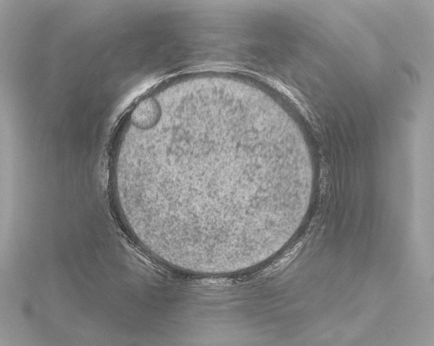 X0000115061406200912071142