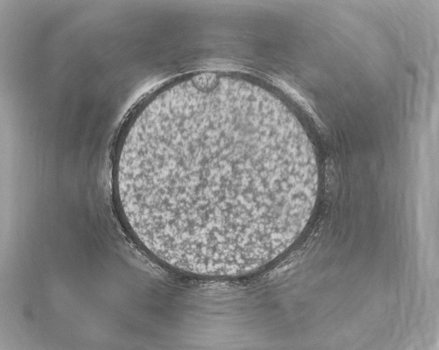 X0000115061408200912071142