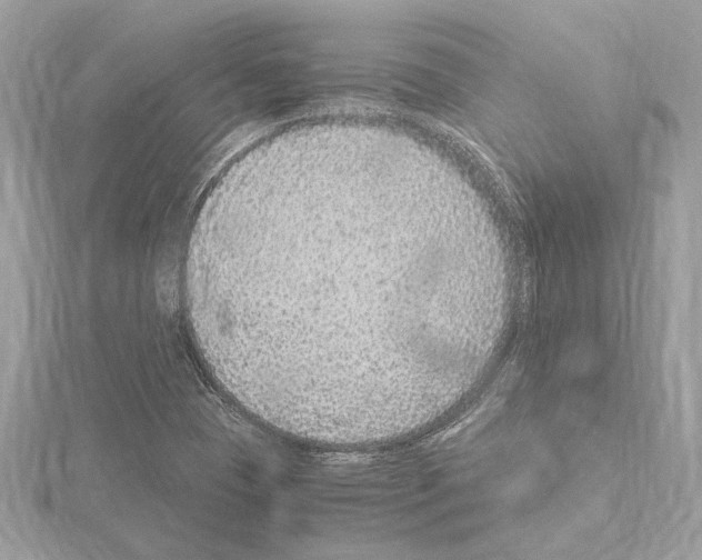 X0000115061409200912071142