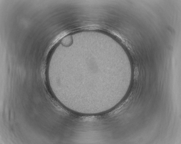 X0000115061410200912071142