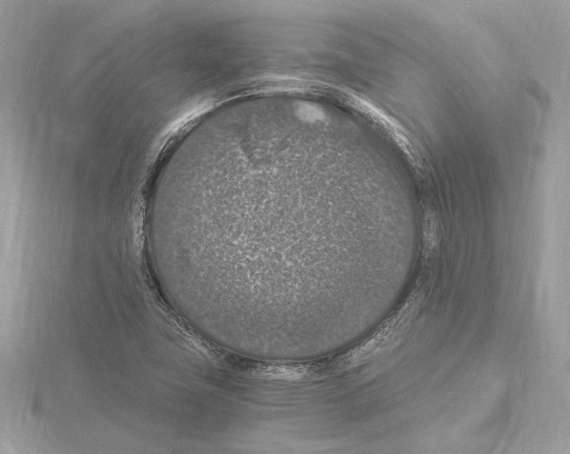 X0000115061411200912071142