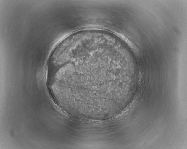 X0000115061413200912071142