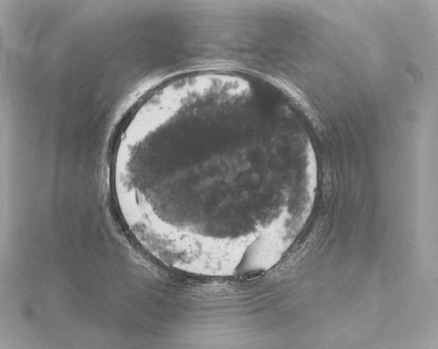 X0000115061414200912071142