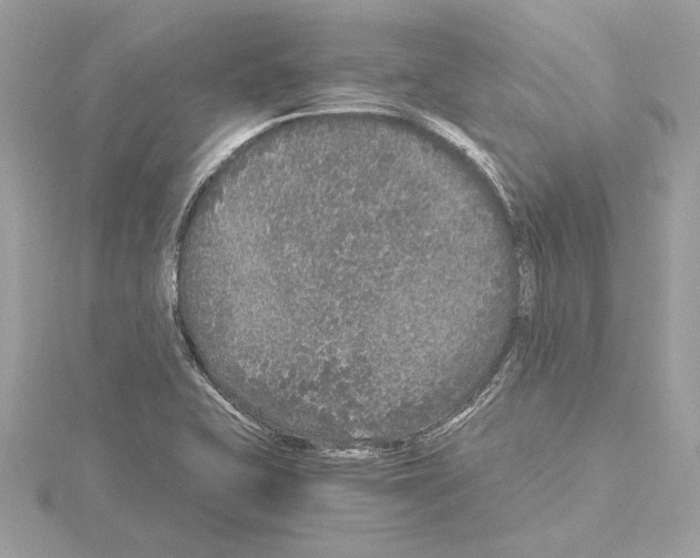 X0000115061415200912071142