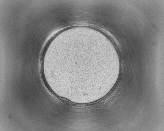 X0000115061416200912071142