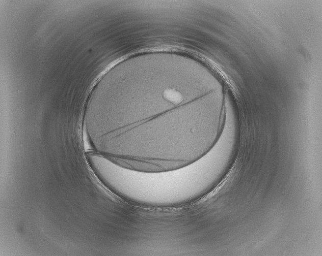 X0000115061417200912071142