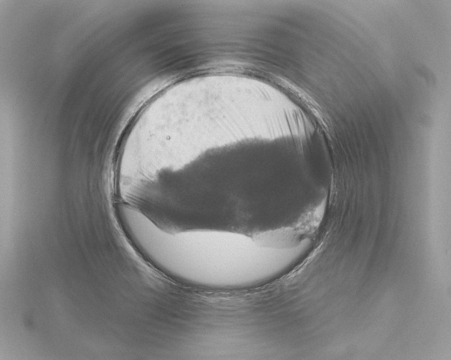 X0000115061418200912071142