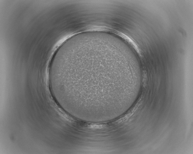 X0000115061419200912071142