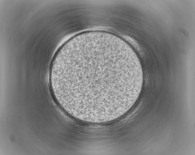 X0000115061420200912071142