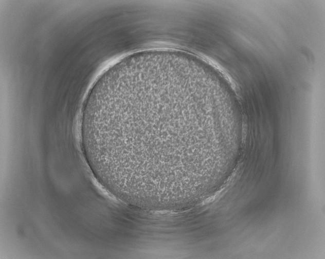 X0000115061421200912071142